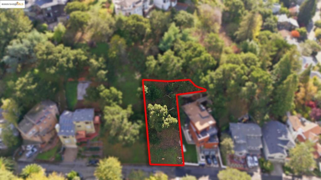 1 Ruthland Rd Property Photo 10