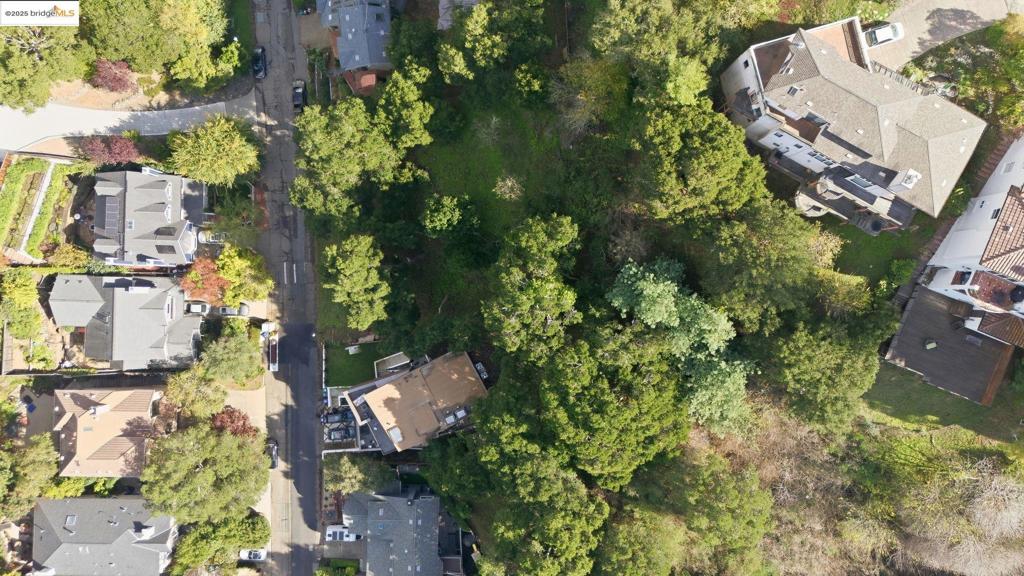 1 Ruthland Rd Property Photo 19