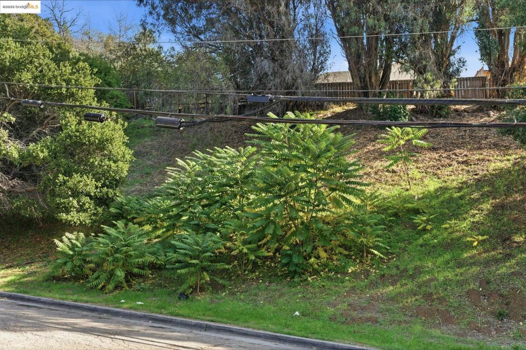9670 Mountain Blvd Property Photo 3