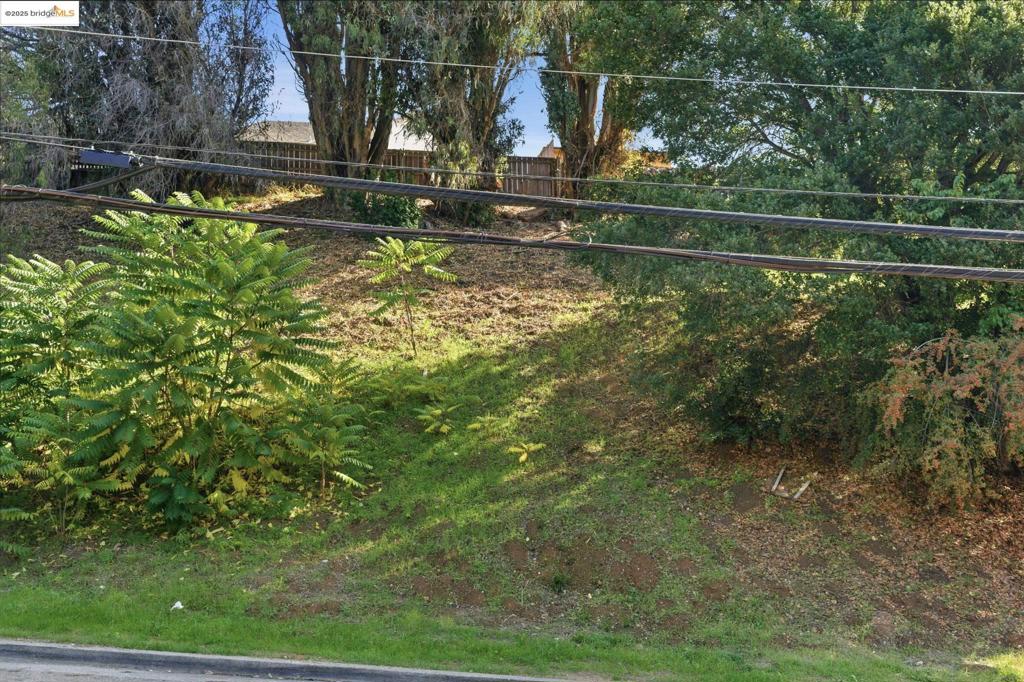 9670 Mountain Blvd Property Photo 4