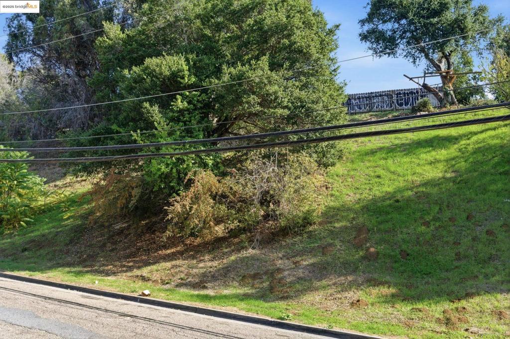 9680 Mountain Blvd Property Photo 2