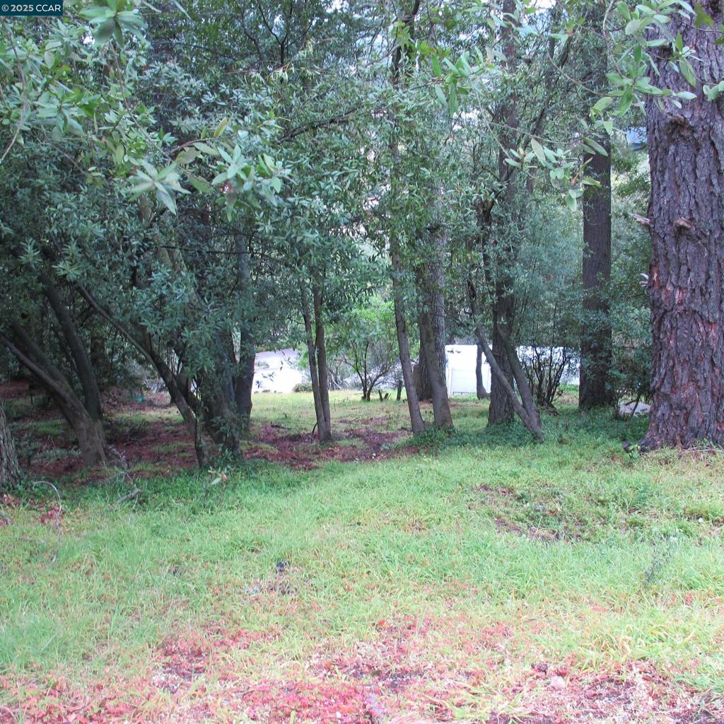 6044 Skyline Blvd Property Photo 5