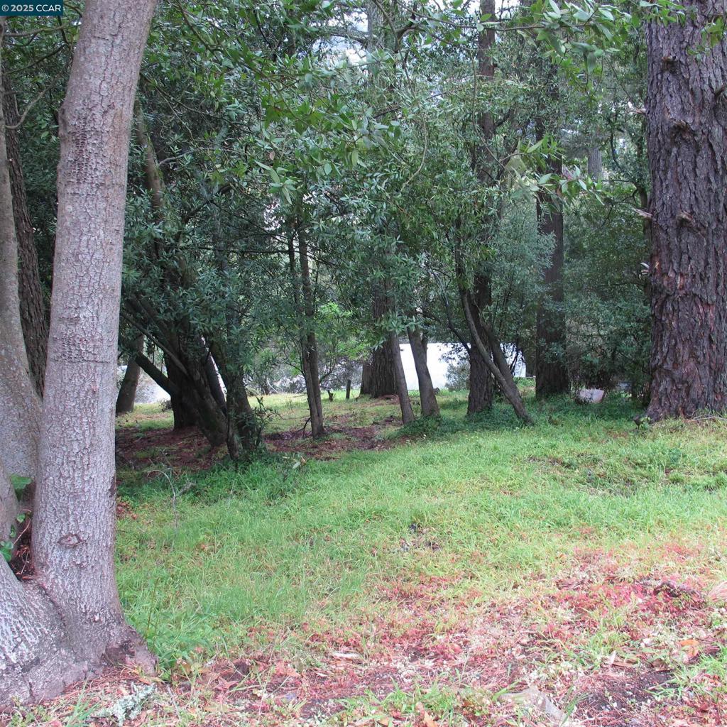 6044 Skyline Blvd Property Photo 6