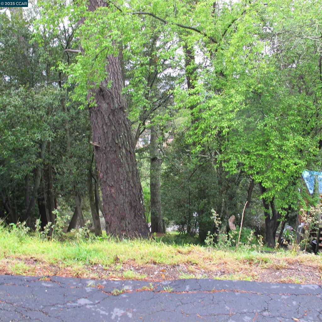 6044 Skyline Blvd Property Photo 7