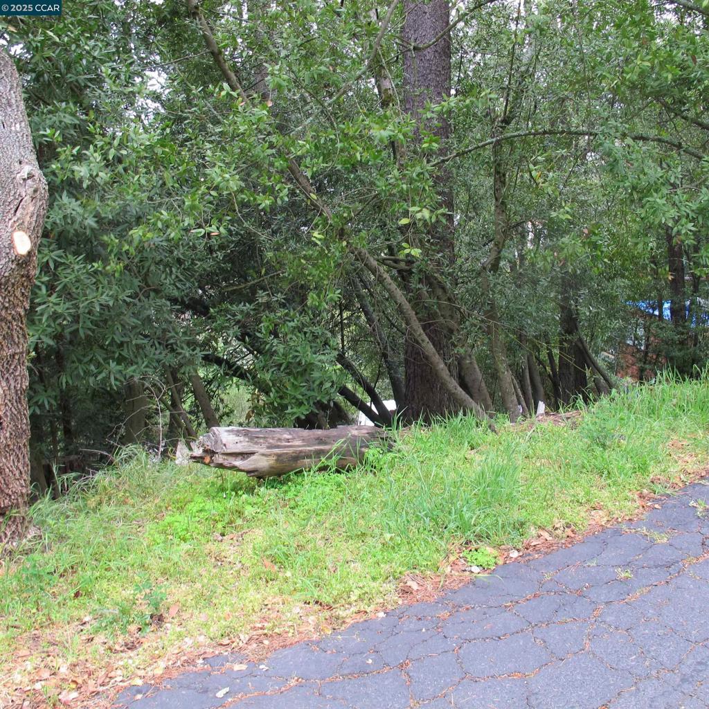 6044 Skyline Blvd Property Photo 8