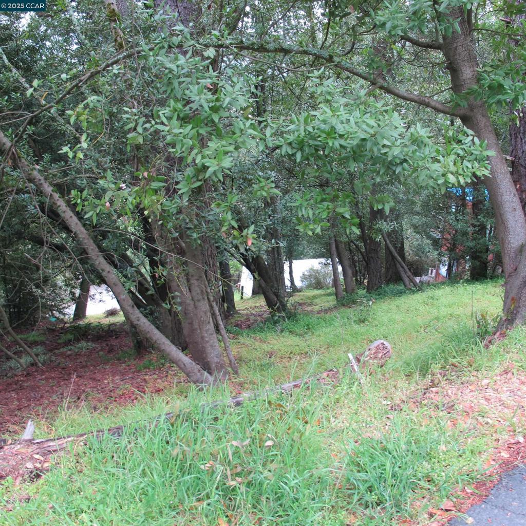 6044 Skyline Blvd Property Photo 9