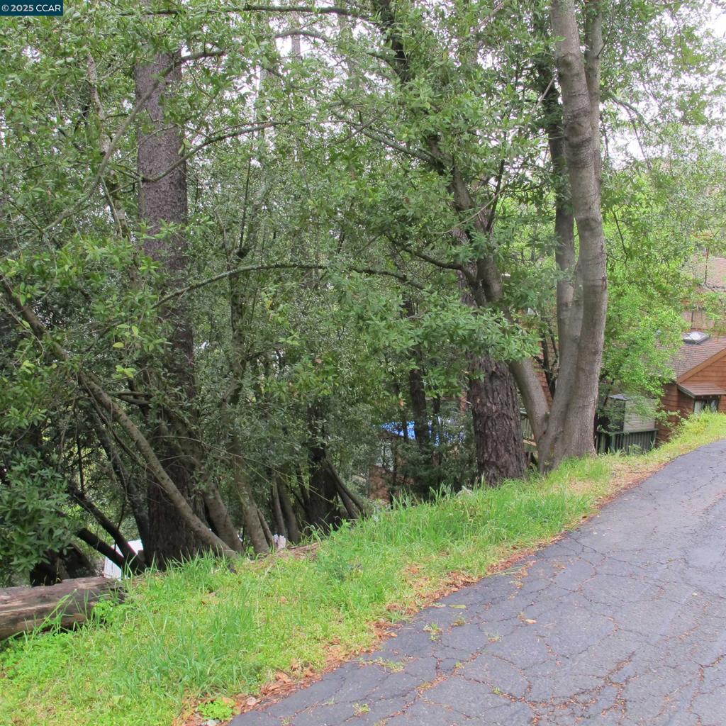 6044 Skyline Blvd Property Photo 11