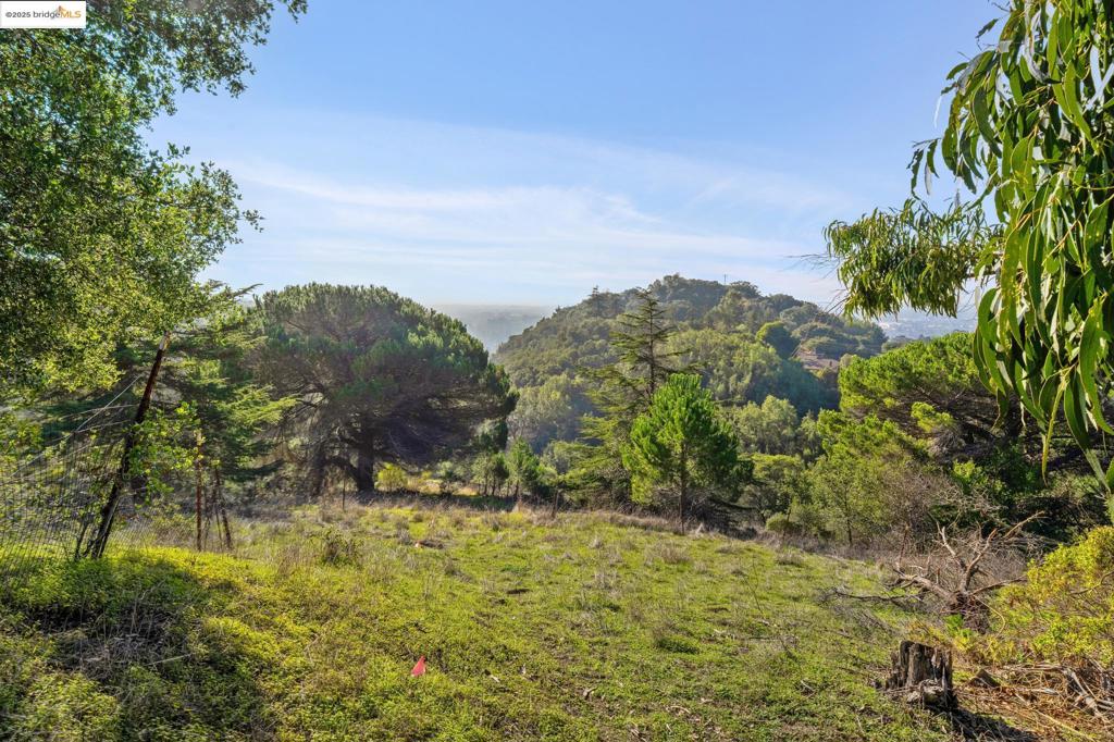 11330 Lochard St Property Photo 18