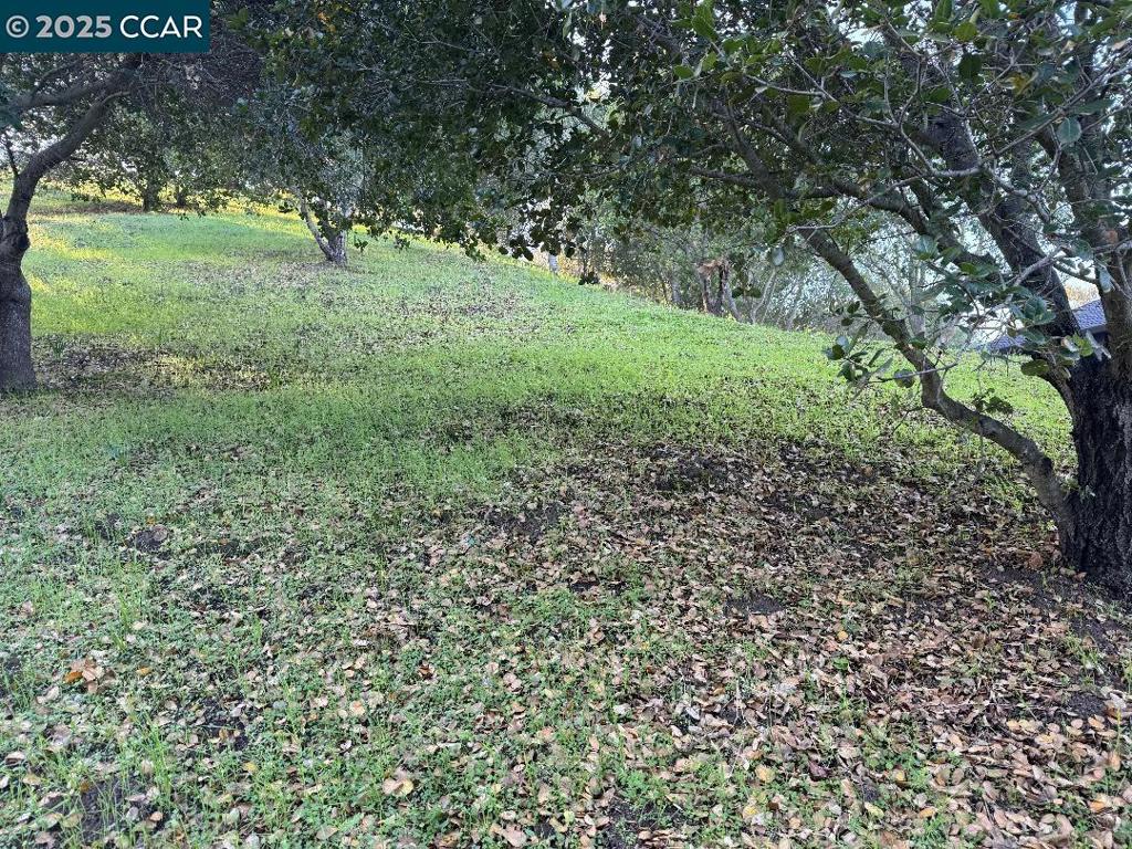 43 Cuesta Way Property Photo 16