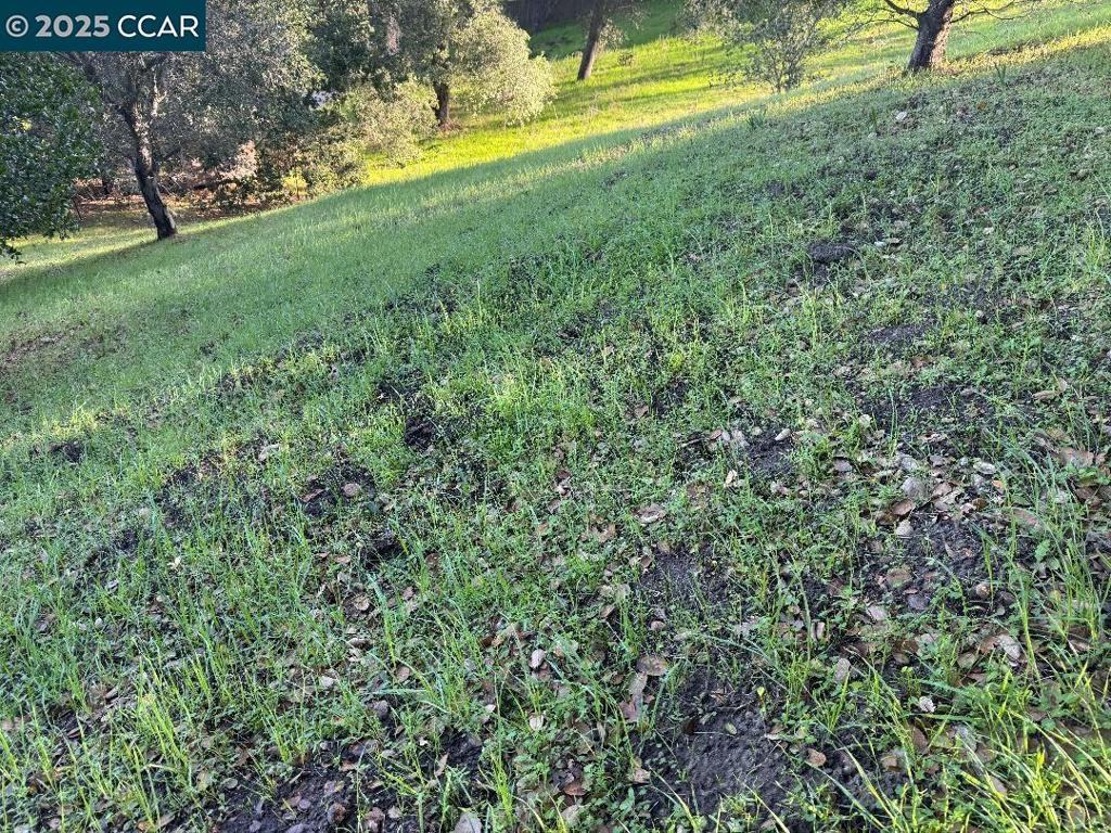 43 Cuesta Way Property Photo 18