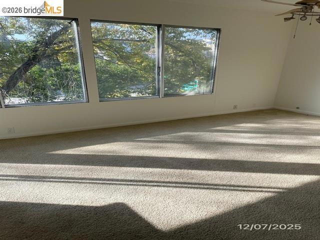 455 Crescent St 312 Property Photo 4