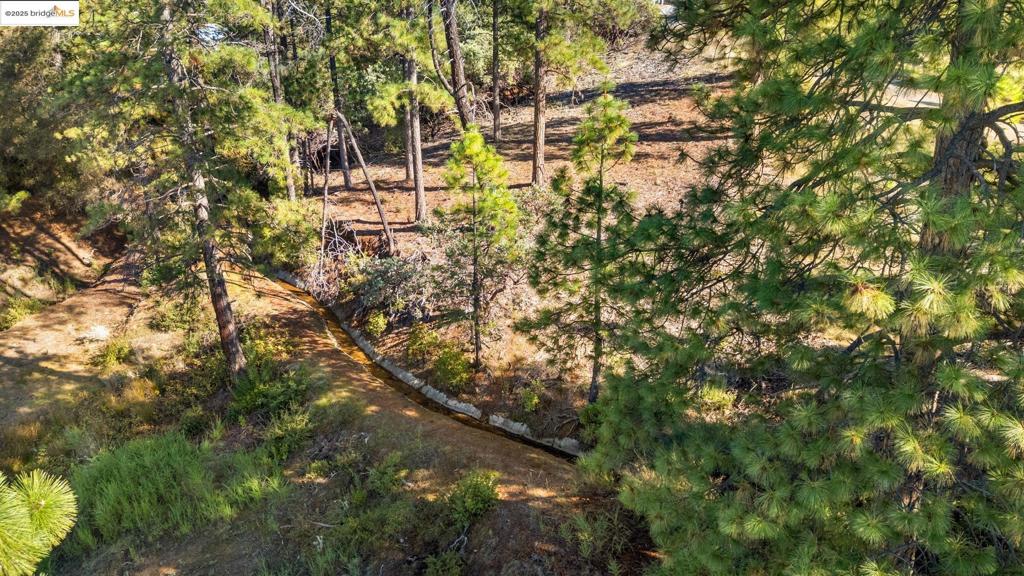 11210 Forest Park Rd Property Photo 3