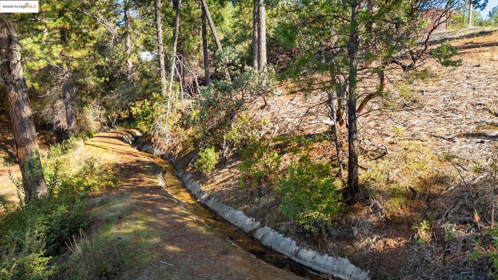 11210 Forest Park Rd Property Photo 4