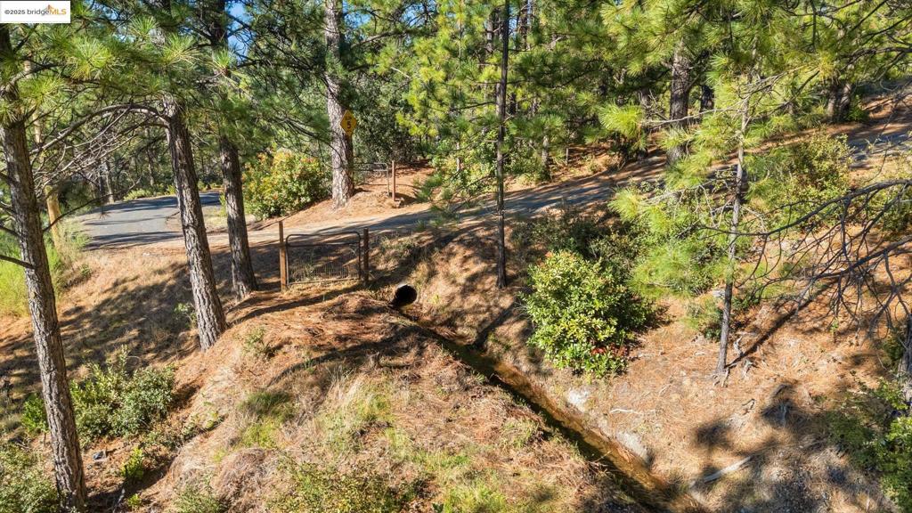 11210 Forest Park Rd Property Photo 8