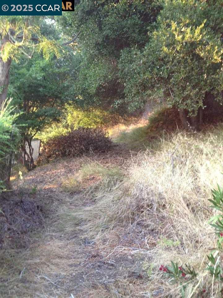 0 Ruthland Property Photo 3