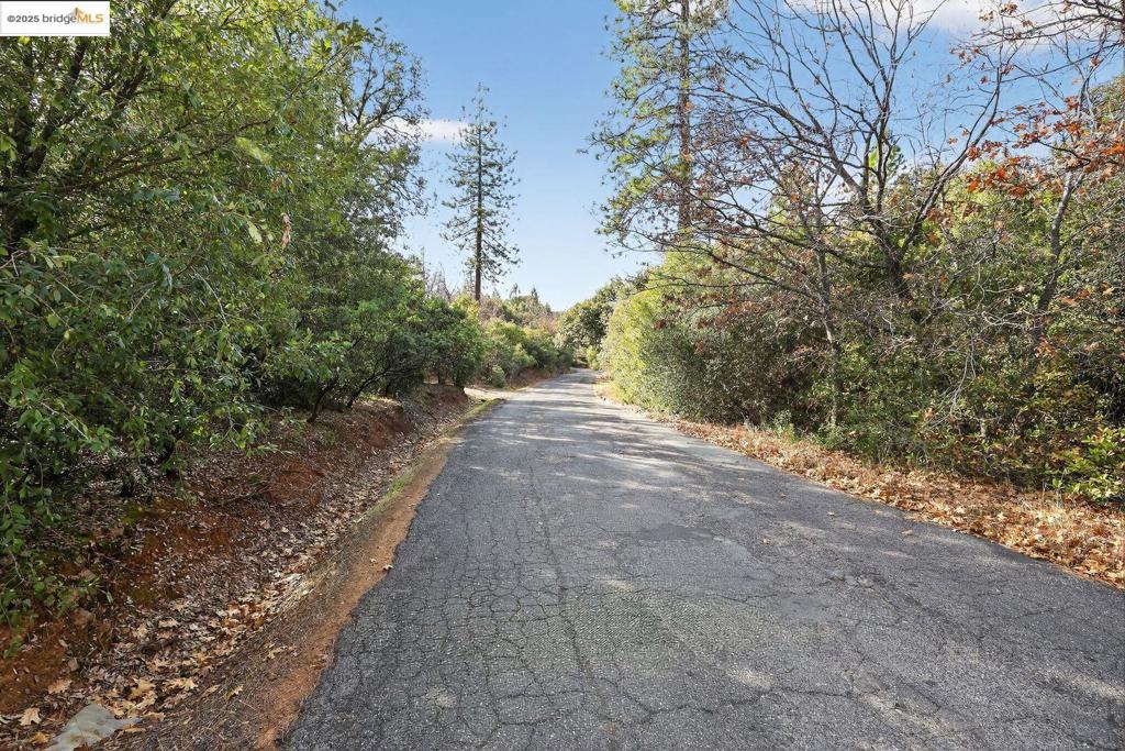 4544 Sheep Ranch Rd Property Photo 1