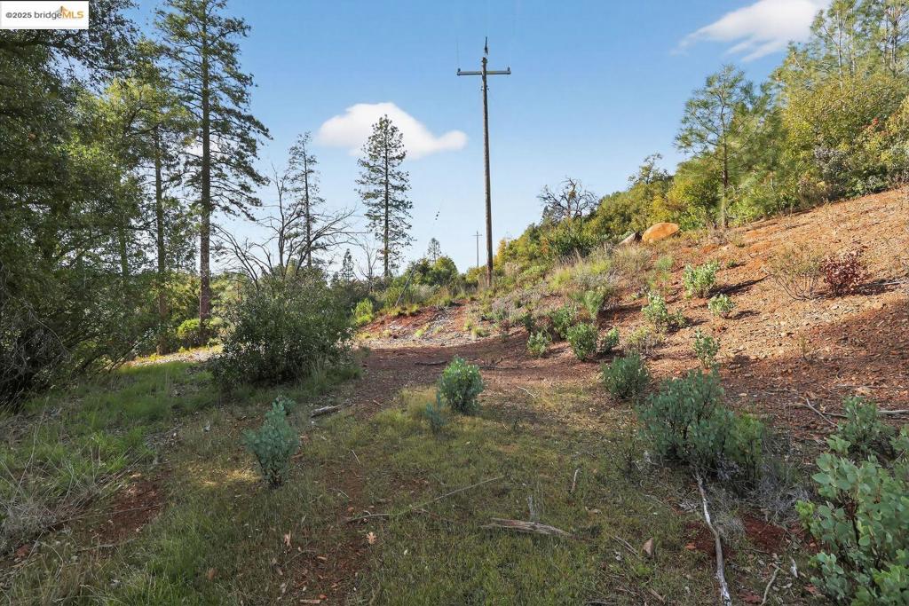 4544 Sheep Ranch Rd Property Photo 2