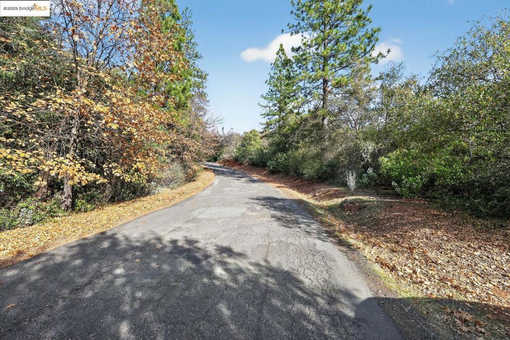 4544 Sheep Ranch Rd Property Photo 3