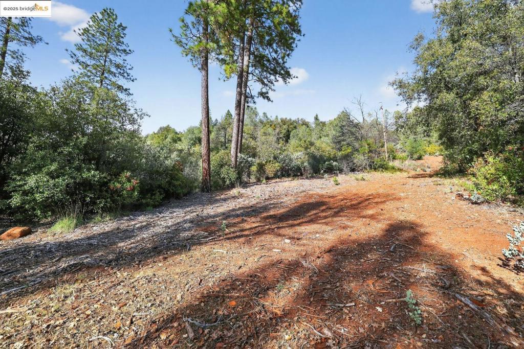 4544 Sheep Ranch Rd Property Photo 4