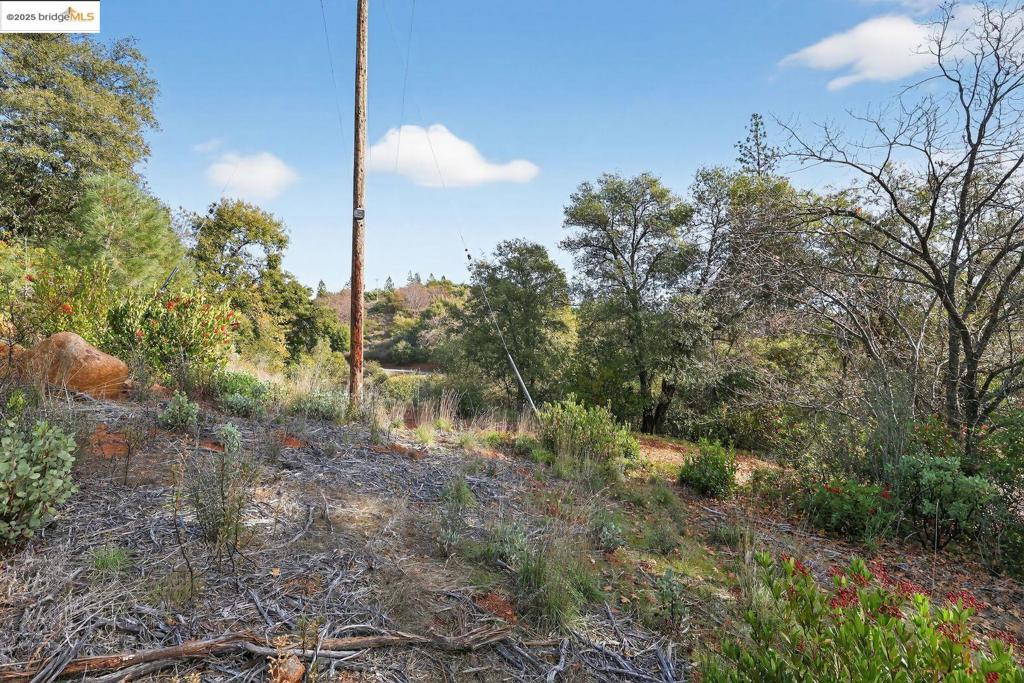 4544 Sheep Ranch Rd Property Photo 5