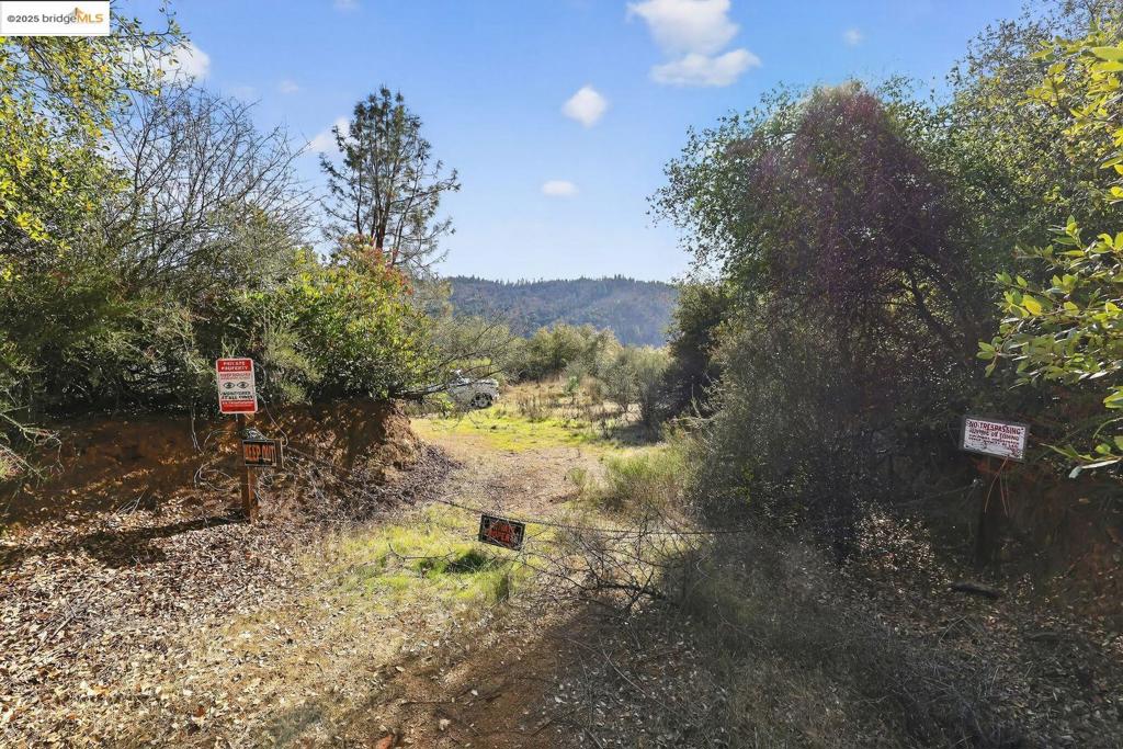 4544 Sheep Ranch Rd Property Photo 6