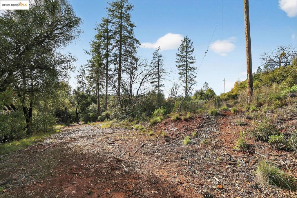 4544 Sheep Ranch Rd Property Photo 7