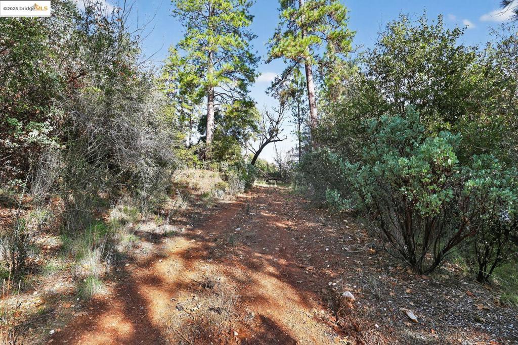 4544 Sheep Ranch Rd Property Photo 9