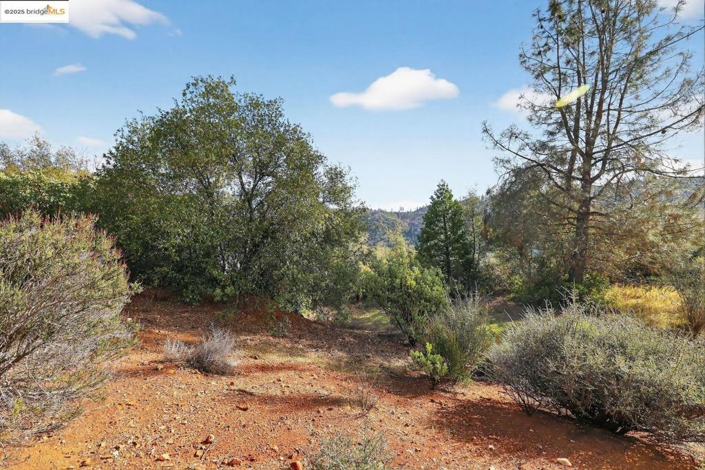 4544 Sheep Ranch Rd Property Photo 10