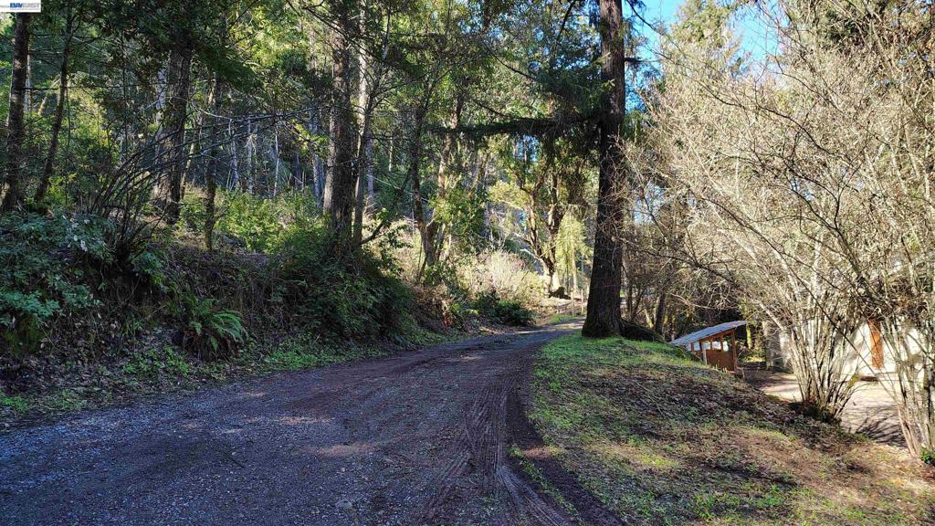 28440 Ryan Creek Road Property Photo 20