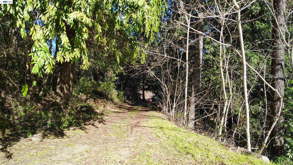 28440 Ryan Creek Road Property Photo 22