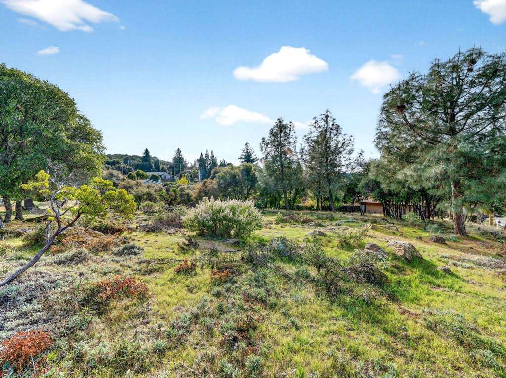9709 Tenaya Way Property Photo 10