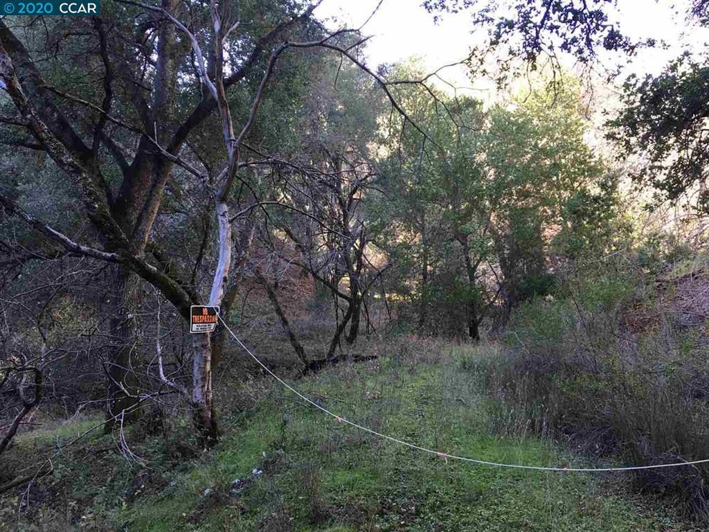 Lark Ln Property Photo 1