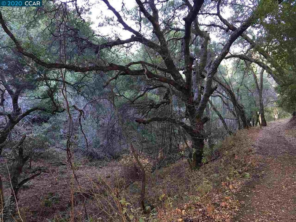 Lark Ln Property Photo 2