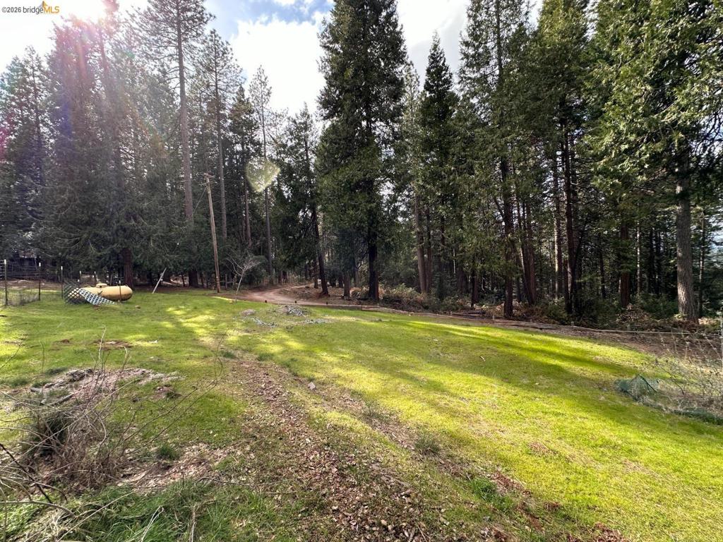19071 W. Allan Property Photo 20