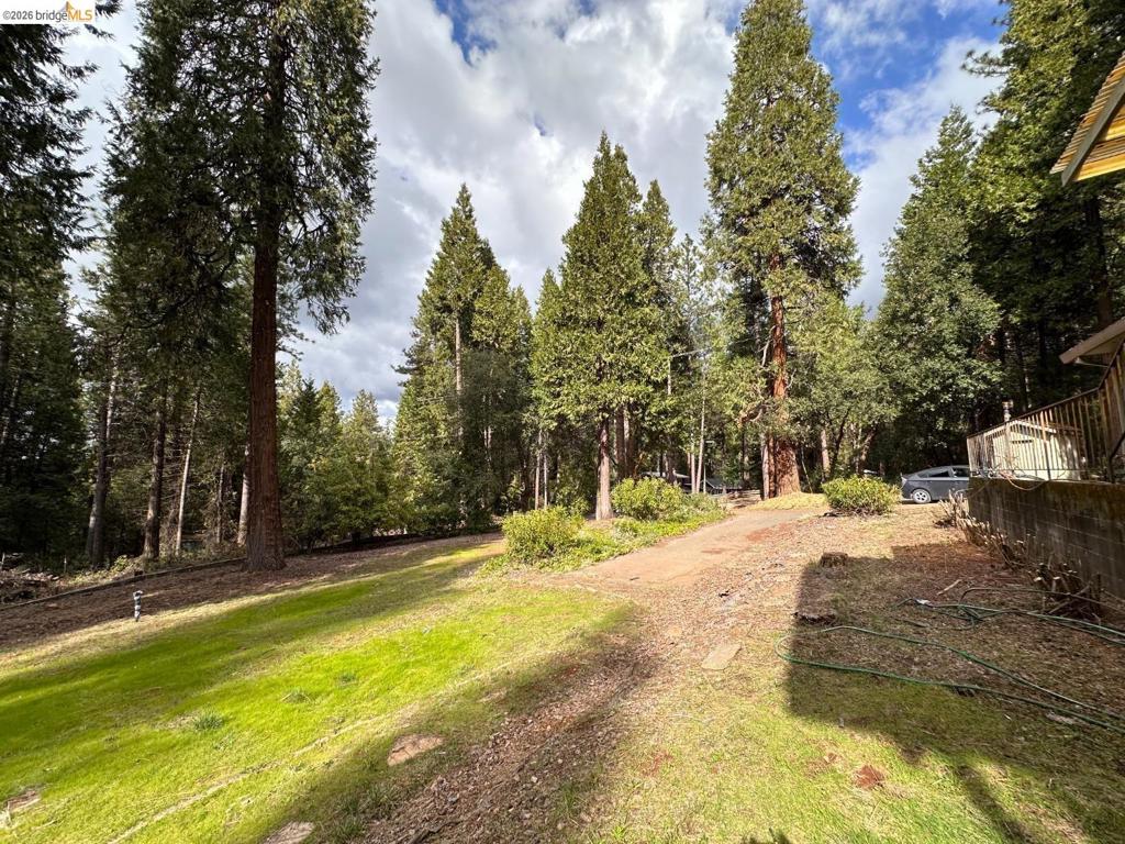19071 W. Allan Property Photo 21