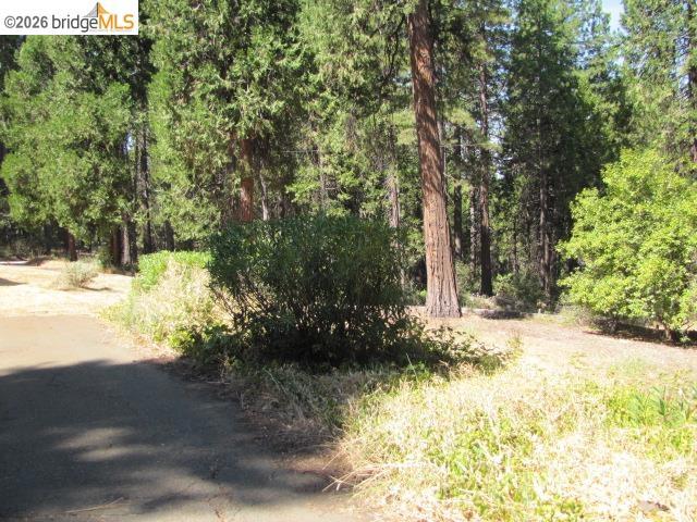 19071 W. Allan Property Photo 35