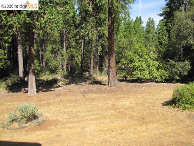 19071 W. Allan Property Photo 38
