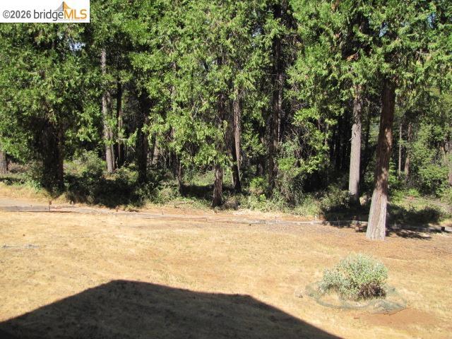 19071 W. Allan Property Photo 39