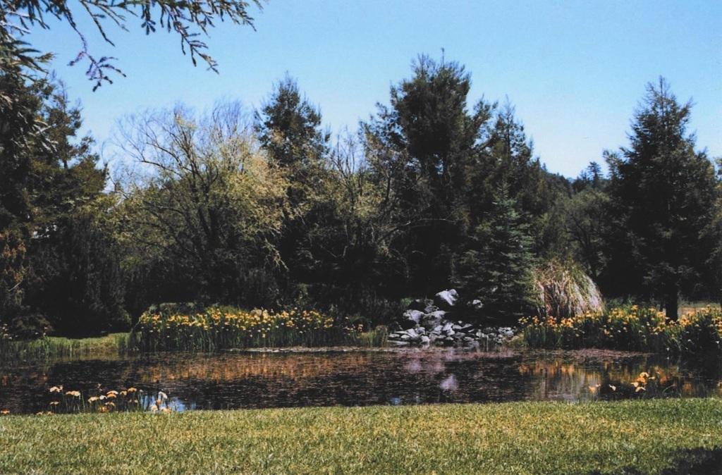 4001 Branscomb Rd Property Photo 2
