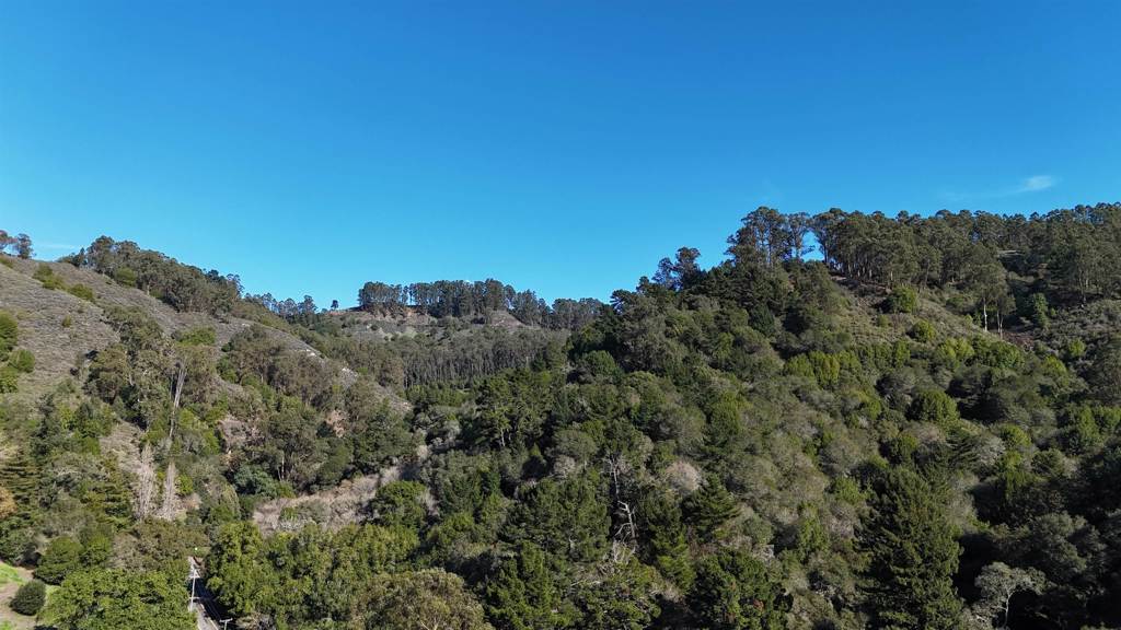 1488 Alvarado Rd. Property Photo 6