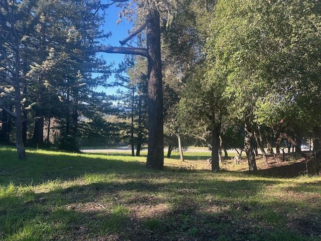 0 00 Vista Verde Property Photo 3