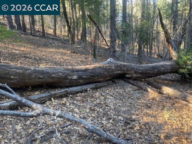 9471 Wildcat Rd Property Photo 5