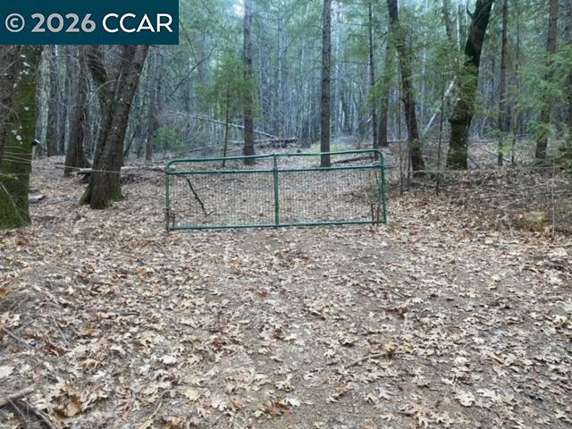9471 Wildcat Rd Property Photo 9