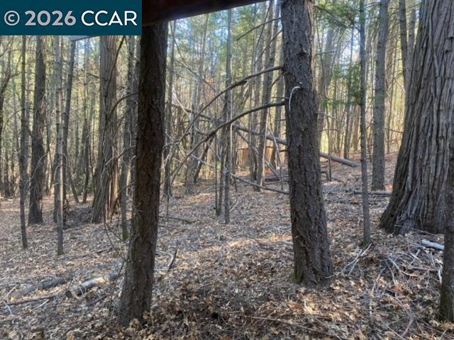 9471 Wildcat Rd Property Photo 10