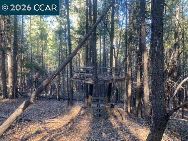 9471 Wildcat Rd Property Photo 11
