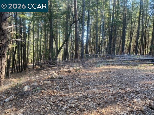 9471 Wildcat Rd Property Photo 13