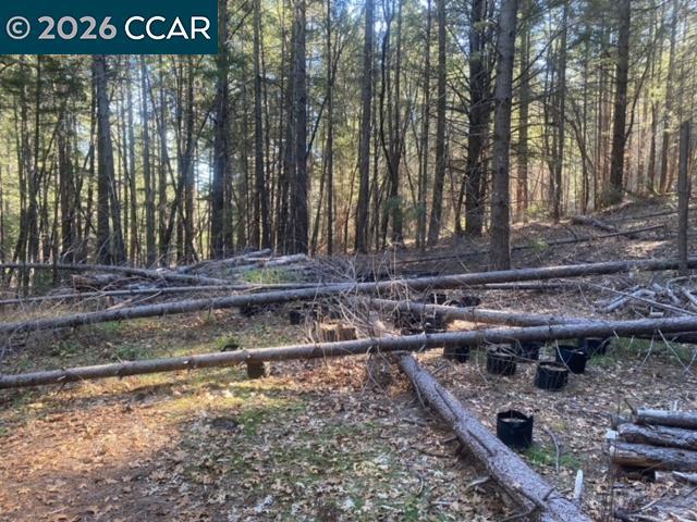 9471 Wildcat Rd Property Photo 14