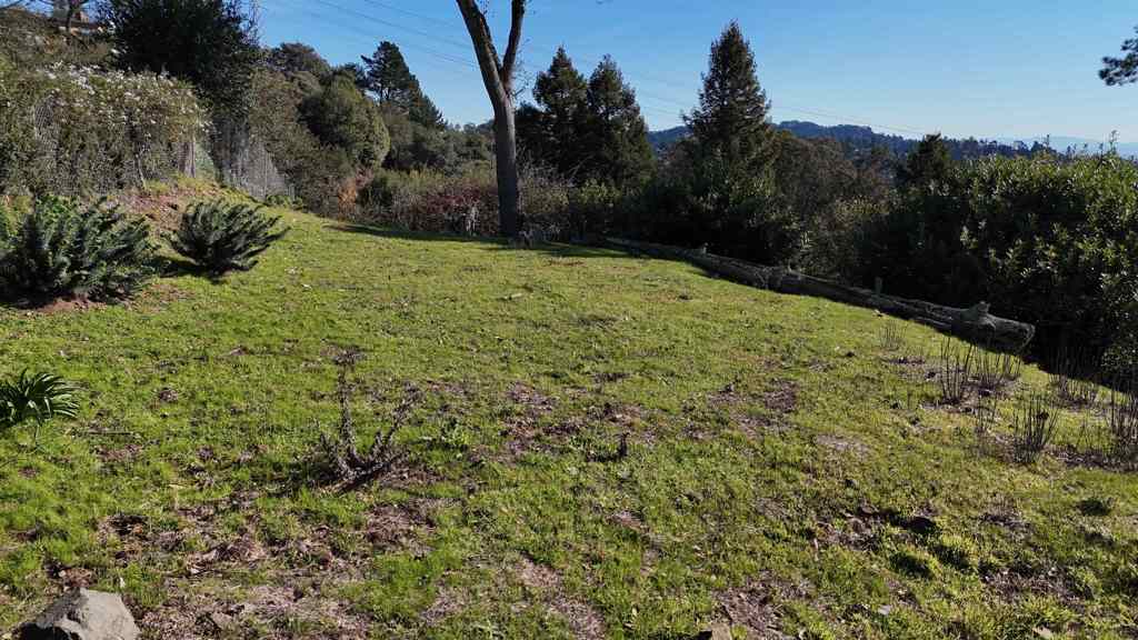 6108 Skyline Blvd Property Photo 14