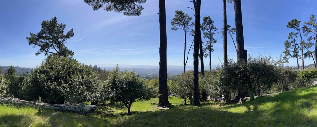 6108 Skyline Blvd Property Photo 16