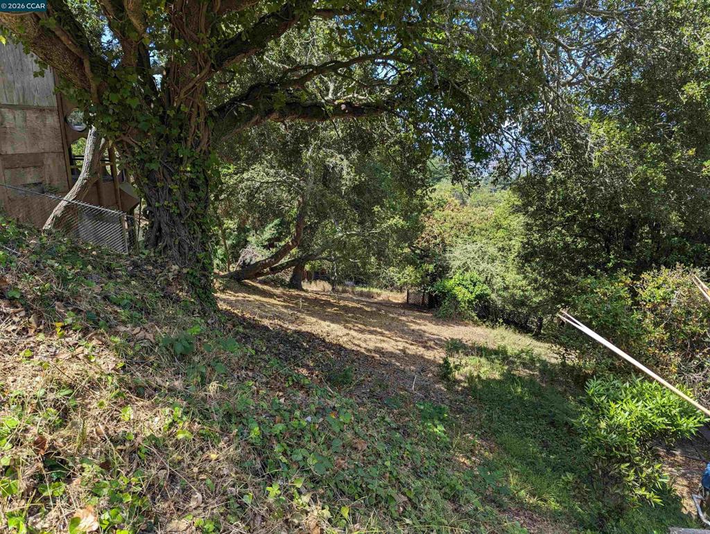 1110 Sterling Ave Property Photo 20